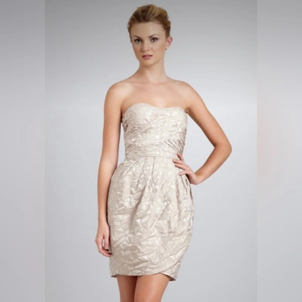 Max & Cleo Organza Fitted Strapless Cocktail Wedding Champagne Dress NWT Size 4